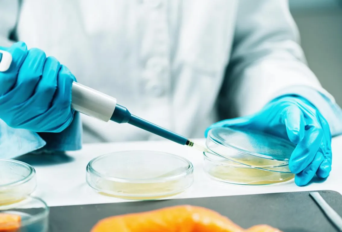 Una toma de cerca de una mano enguantada sosteniendo una pipeta sobre una placa de Petri en un laboratorio, representando procedimientos de laboratorio precisos o investigación.